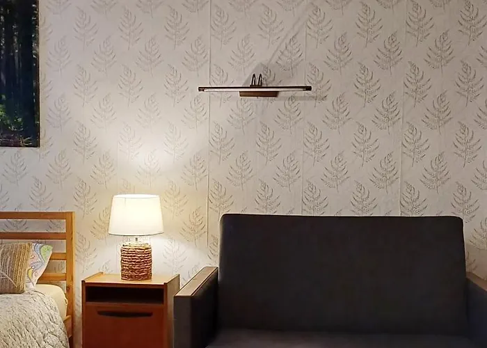 Toma Sau Seaside Center Apartment